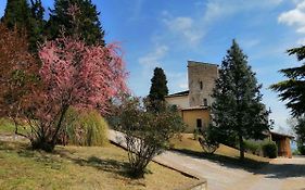 Casa Per Ferie Ulivo D'Assisi