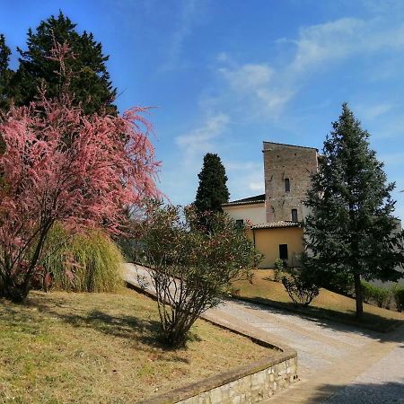 Villa Casa Per Ferie Ulivo D'Assise Extérieur photo
