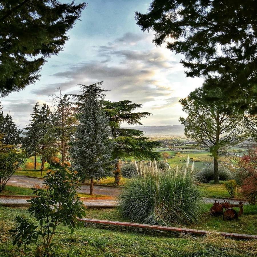 Villa Casa Per Ferie Ulivo D'Assise Extérieur photo