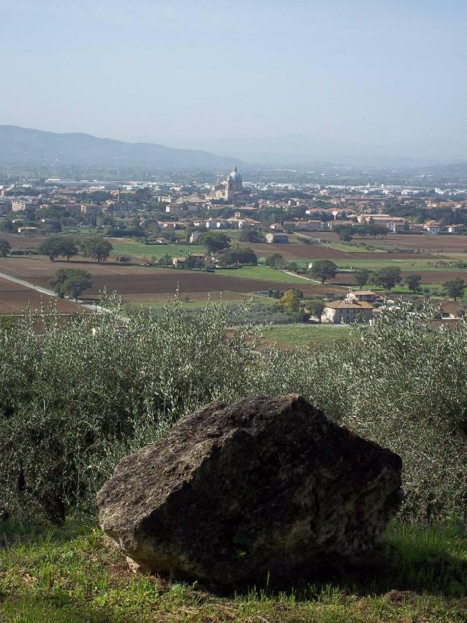 Villa Casa Per Ferie Ulivo D'Assise Extérieur photo